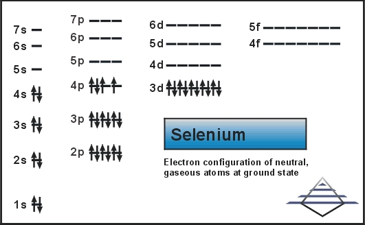 What is the Electron Configuration of Selenium?