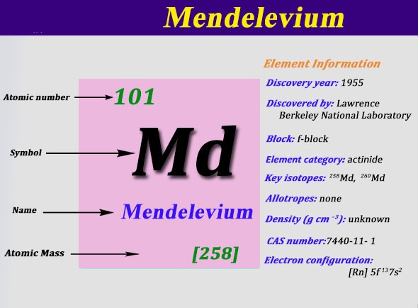 What is the Electron Configuration of Mendelevium