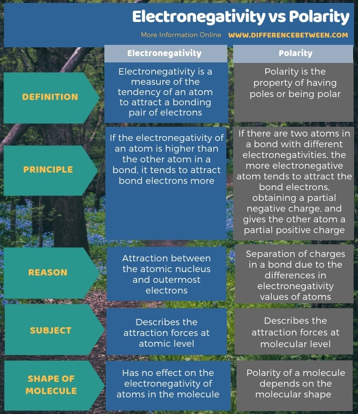 Difference Between Electronegative and Electropositive Elements