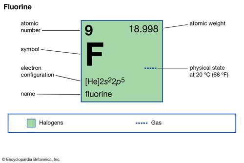 Total number of valence electrons in fluorine